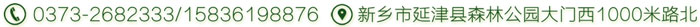 草莓视频黄色软件机械>24小时联系方式